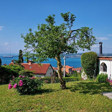 Apartma Ika Διαμέρισμα Κόπερ Εξωτερικό φωτογραφία