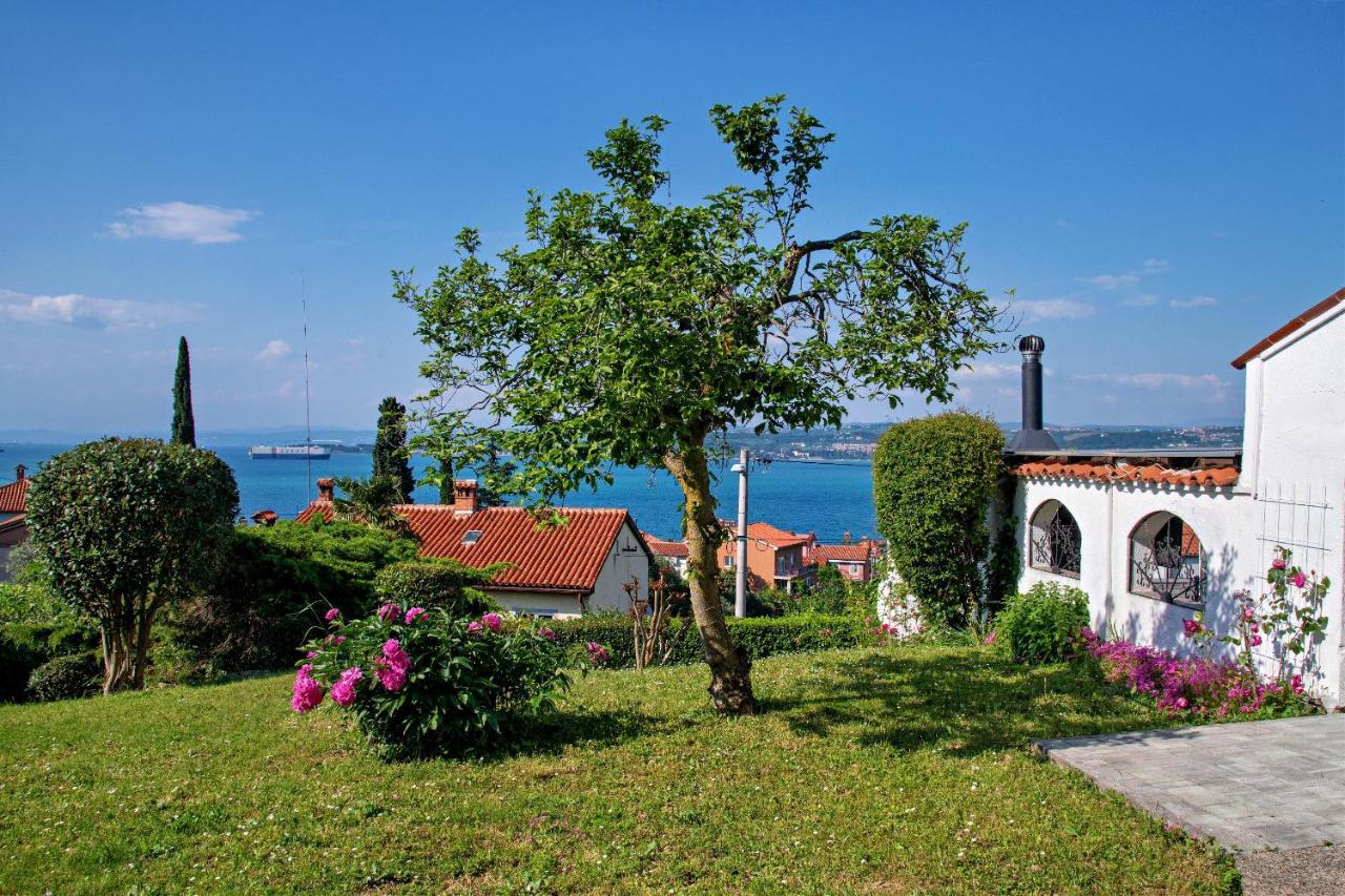 Apartma Ika Διαμέρισμα Κόπερ Εξωτερικό φωτογραφία
